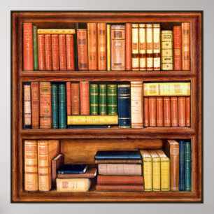 Old Books Vintage Library Bookshelf poster