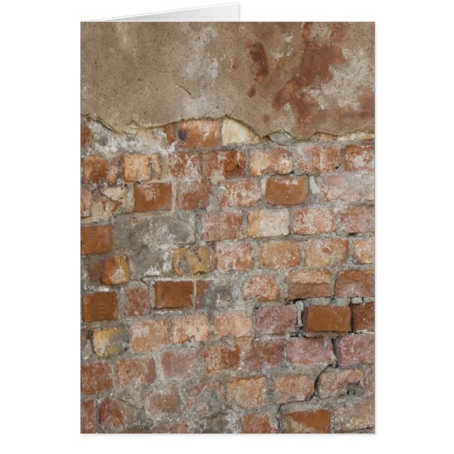 Old Brick (Devant)
