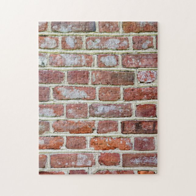 Old Brick Wall Jigsaw Puzzle (Vertical)