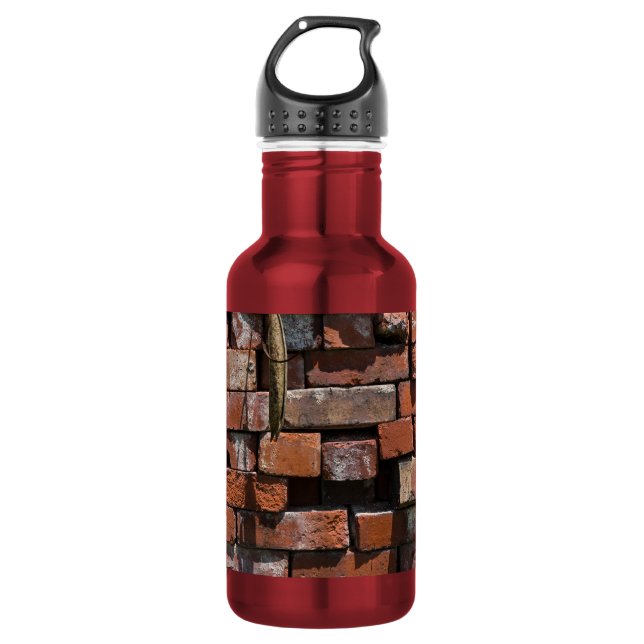 Old Bricks Abstract Stainless Steel Water Bottle (Front)
