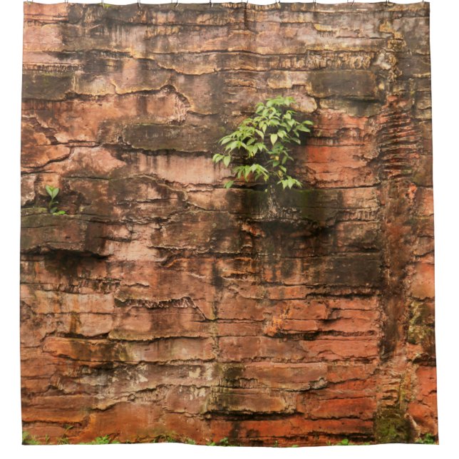 Old broken brick wall (Front)