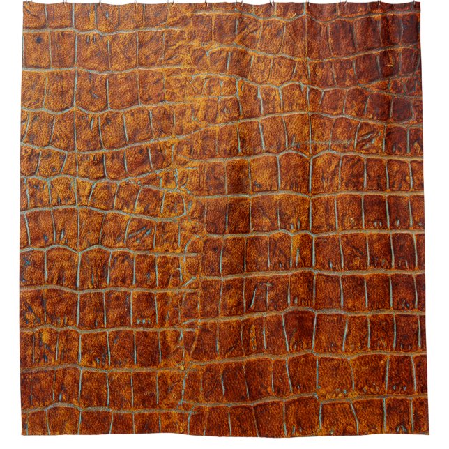 Old brown animal leather texture (Front)