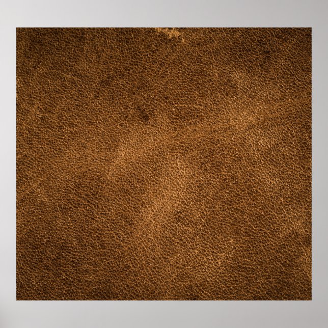 Old Brown Leather: Textured Background Poster (Front)