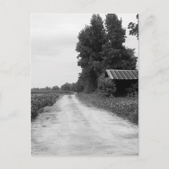 Old Building Barn in North Carolina Postcard (Front)
