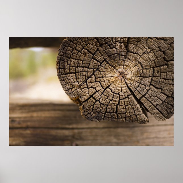 Old Cabin Texture Poster (Front)