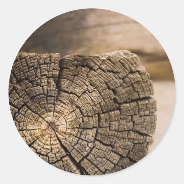 Old Cabin Textures Classic Round Sticker (Front)