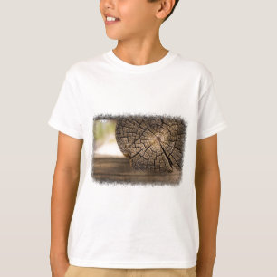 Old Cabin Wood Textures T-Shirt