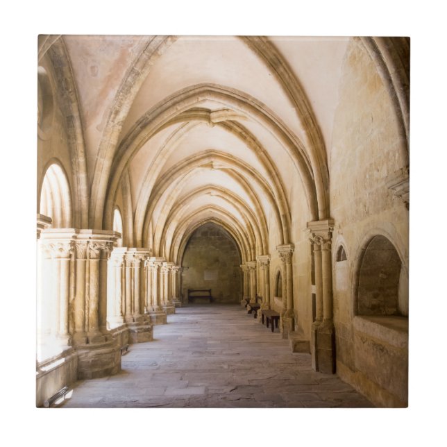 Old Cathedral Cloister Walkway Tile (Front)