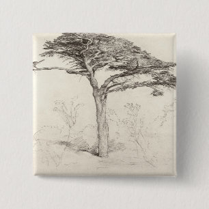 Old Cedar Tree in Botanic Garden, Chelsea, 1854 (p 2 Inch Square Button