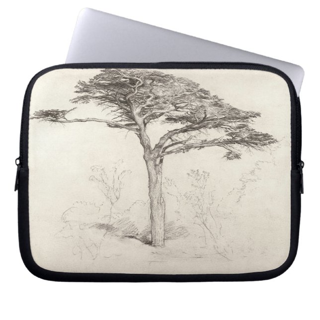 Old Cedar Tree in Botanic Garden, Chelsea, 1854 (p Laptop Sleeve (Front)