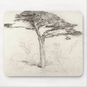 Old Cedar Tree in Botanic Garden, Chelsea, 1854 (p Mouse Pad