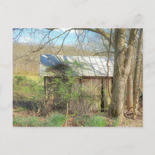 Old Chicken Coop Postcard (Front)