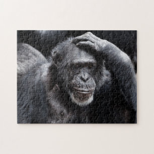 Old Chimpanzee photo puzzle