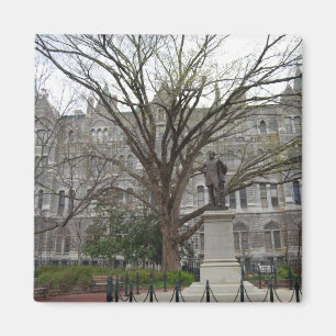 Old City Hall, Richmond, VA in spring Magnet
