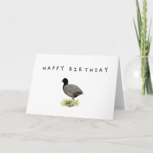 Old Coot Birthday Card