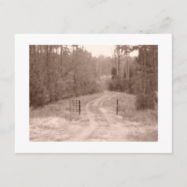 old country road postcard (Front)