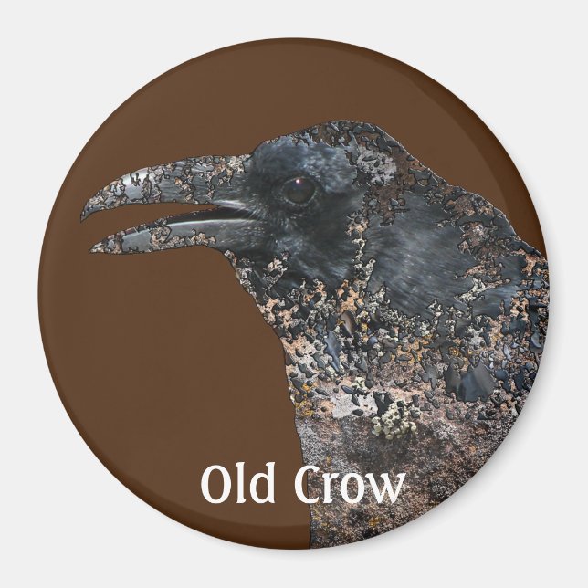 Old Crow Talking Canyons, New Mexico Magnet (Front)