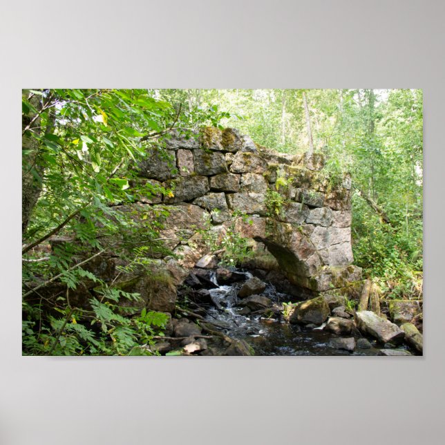 Old destroyed bridge in the forest poster (Front)