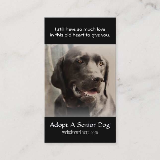 Old Dog  Animal Rescue Business Card (Front)