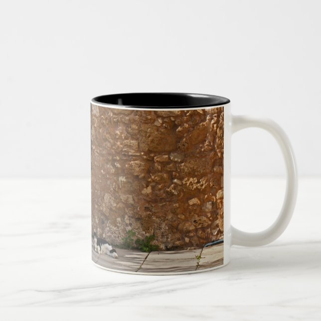 Old door and resting cat Two-Tone coffee mug (Right)