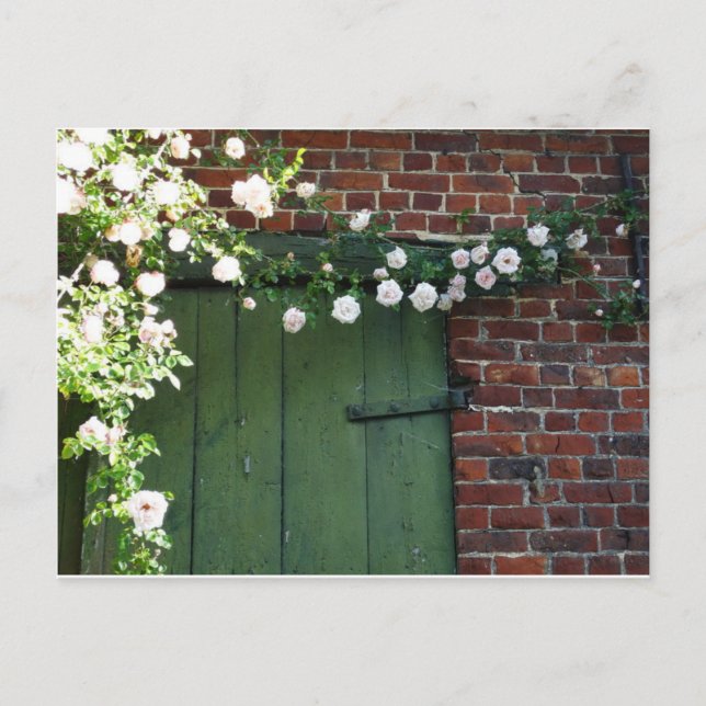 Old door and roses postcard (Front)