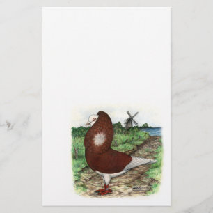Old Dutch Capuchine Pigeon