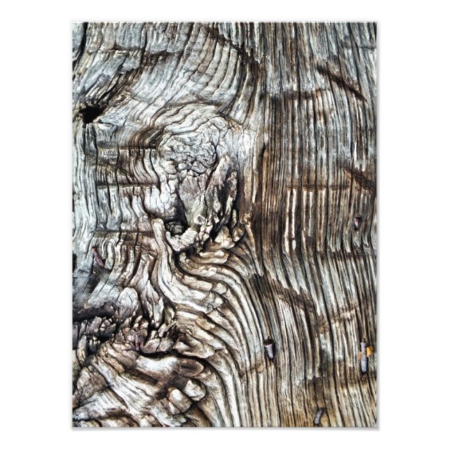 OLD ENGLAND PHOTO PRINT (Front)