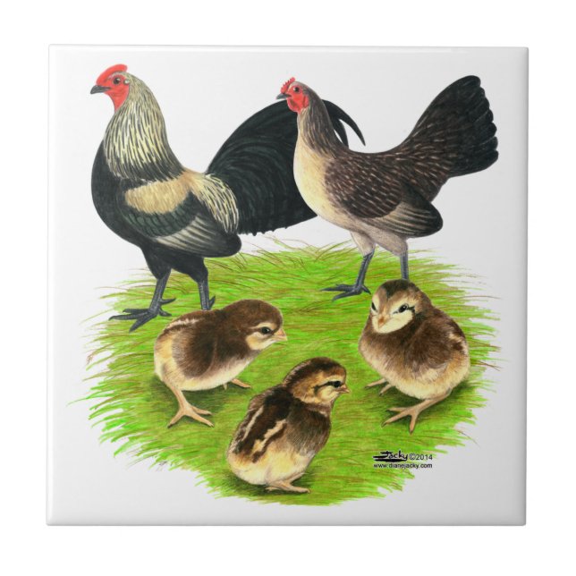 Old English Bantam Brassy Back Family Tile (Front)