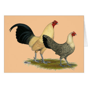 Old English Cream Buttercups