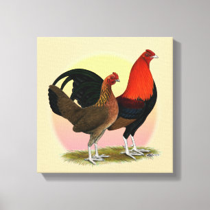 Old English Game Bantam: BB Red Canvas Print