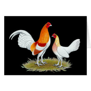 Old English Game Bantam:  Red Pyle