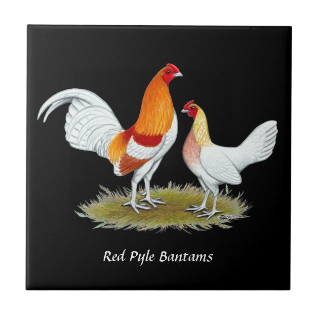 Old English Game Bantam:  Red Pyle Tile (Front)
