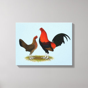Old English Game Bantams:  BB Red Pair Canvas Print