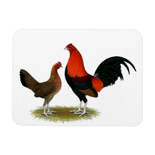 Old English Game Bantams:  BB Red Pair Magnet