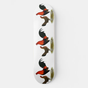 Old English Game Bantams: BB Red Pair Skateboard