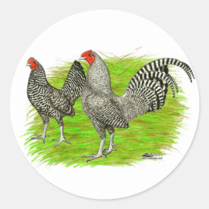 Old English Game Barred Chickens Classic Round Sticker
