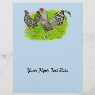 Old English Game Barred Chickens Flyer