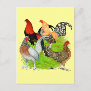 Old English Game Quartet Postcard