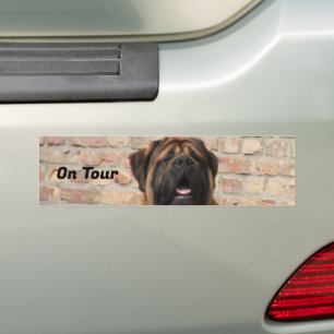 old english Mastiff  Bumper Sticker