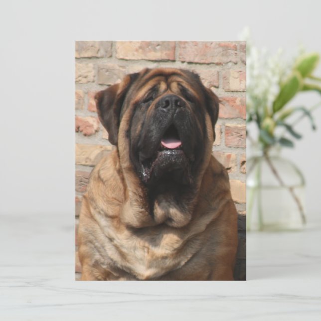 old English Mastiff Invitation (Standing Front)