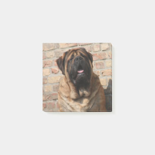 old English Mastiff Post-it Notes