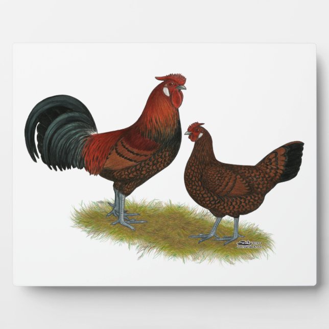 Old English Pheasant Fowl Plaque (Front)