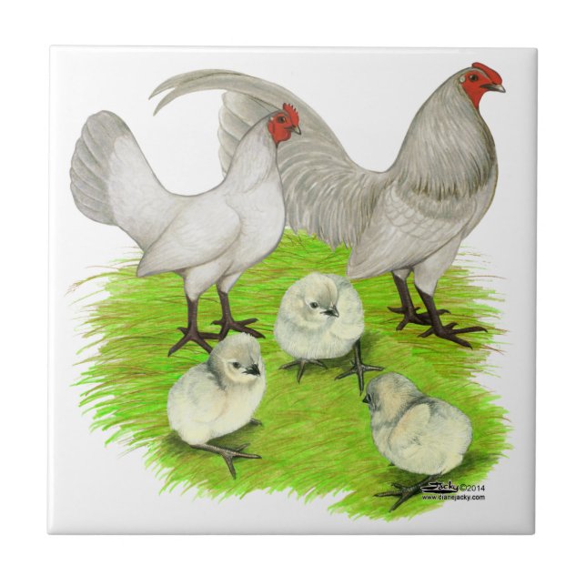 Old English Self Blue Bantam Family Tile (Front)