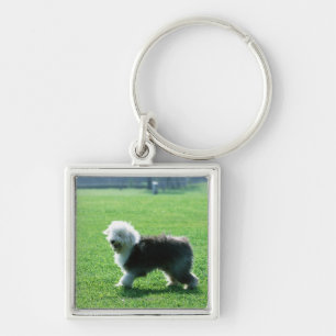 Old English Sheep Dog Keychain