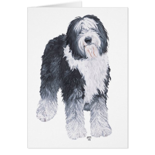 Old English Sheepdog (Front)