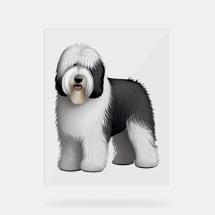 Old English Sheepdog 10