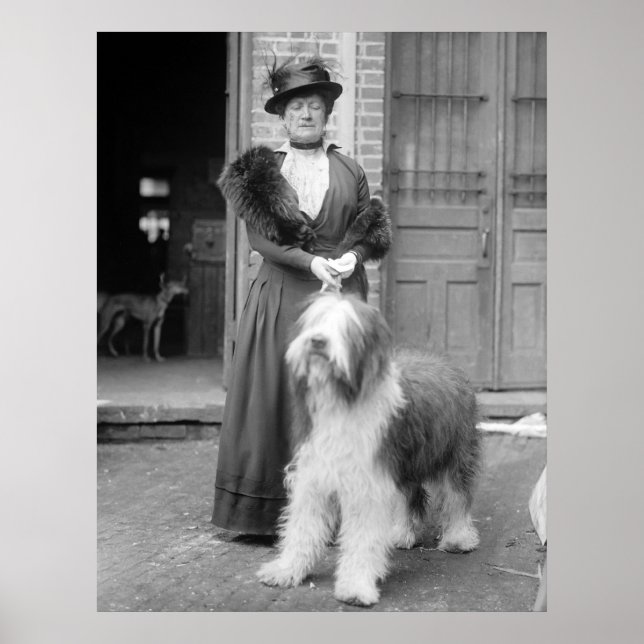 Old English Sheepdog, 1915 Poster (Front)