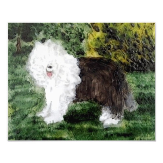 Old English Sheepdog Art Photo Print (Front)