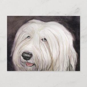 Old English Sheepdog Art Postcard