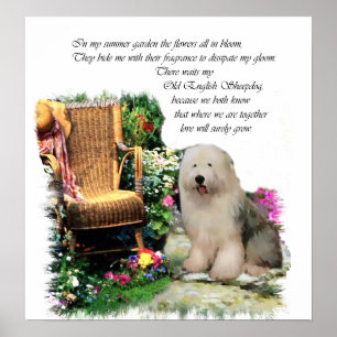 Old English Sheepdog Art Print